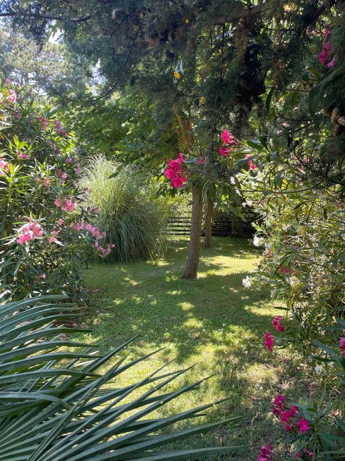 Gites Au Chateau Des Estubiers Les Granges-Gontardes Exteriör bild